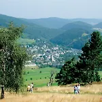Belvita 2 Mit Hallenbad & Sauna - In Ruhiger Zentrumsrandlage Appartement Willingen (Upland)