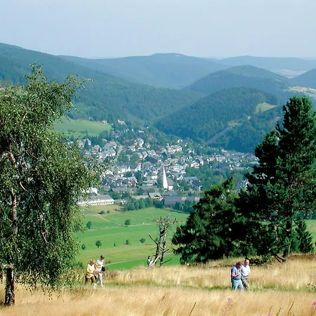 Belvita 2 Mit Hallenbad & Sauna - In Ruhiger Zentrumsrandlage Lejlighed Willingen (Upland)